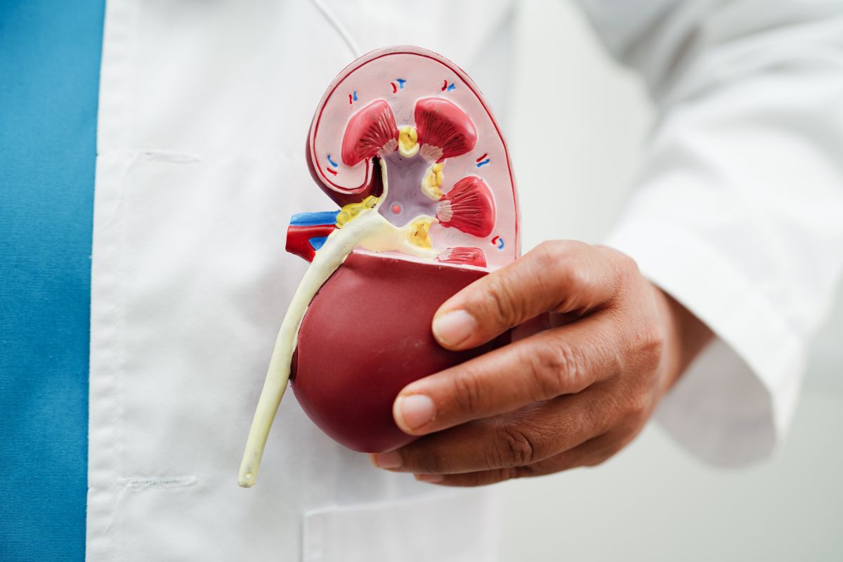 Urología - Dr. Carlos Ramos